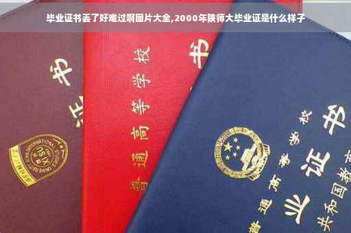 毕业证书丢了好难过啊图片大全,2000年陕师大毕业证是什么样子