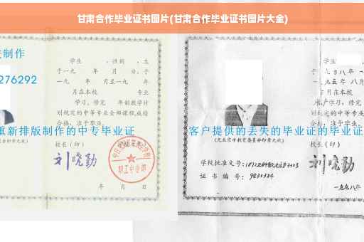 甘肃合作毕业证书图片(甘肃合作毕业证书图片大全)