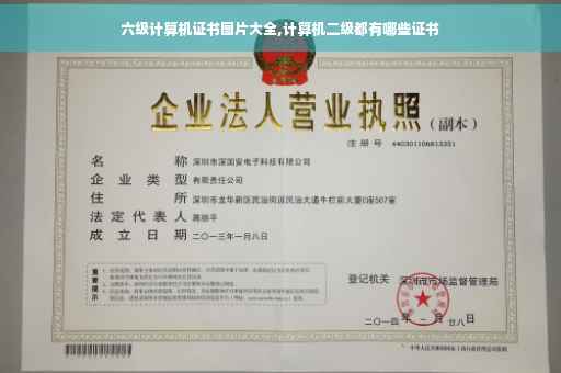 六级计算机证书图片大全,计算机二级都有哪些证书