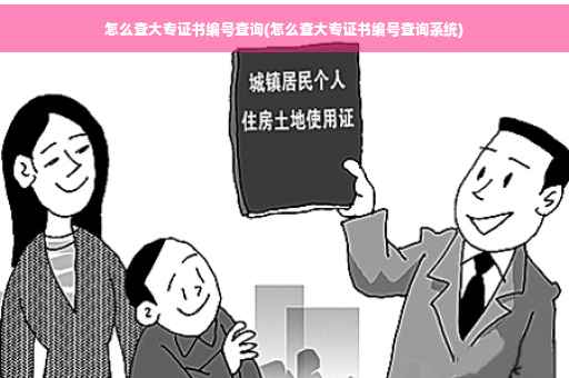 怎么查大专证书编号查询(怎么查大专证书编号查询系统)