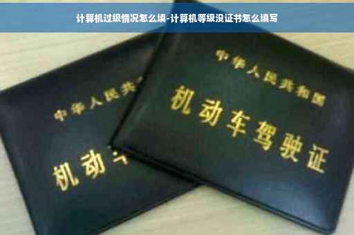 计算机过级情况怎么填-计算机等级没证书怎么填写