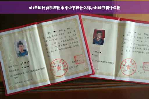nit全国计算机应用水平证书长什么样,nit证书有什么用
