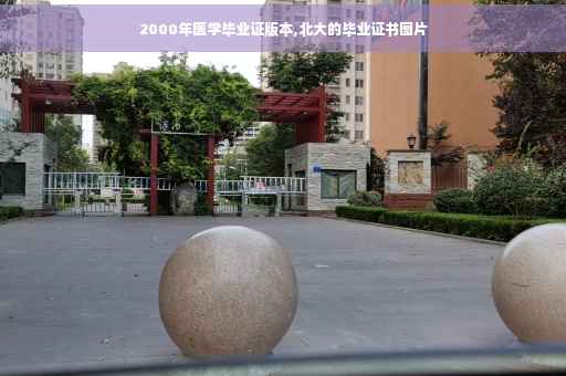 2000年医学毕业证版本,北大的毕业证书图片