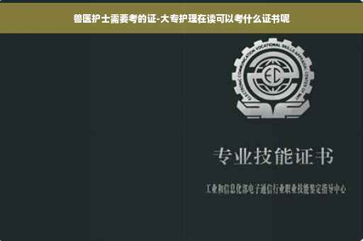 兽医护士需要考的证-大专护理在读可以考什么证书呢