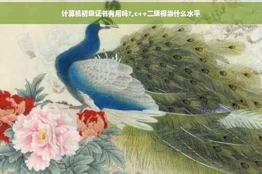 计算机初级证书有用吗?,c++二级相当什么水平