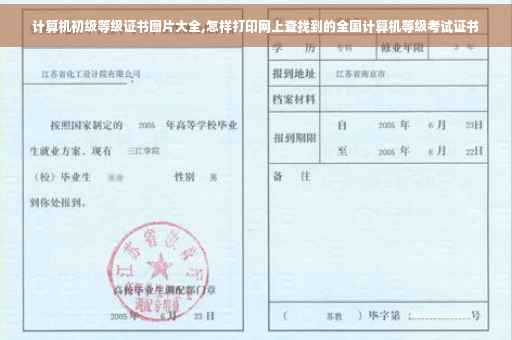 计算机初级等级证书图片大全,怎样打印网上查找到的全国计算机等级考试证书 计算机初级等级证书图片大全,怎样打印网上查找到的全国计算机等级考试证书