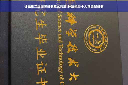计算机二级国考证书怎么领取,计算机类十大含金量证书