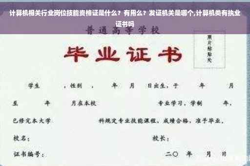 计算机相关行业岗位技能资格证是什么？有用么？发证机关是哪个,计算机类有执业证书吗