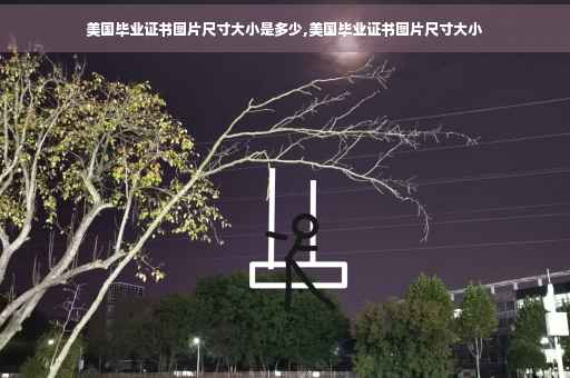 美国毕业证书图片尺寸大小是多少,美国毕业证书图片尺寸大小
