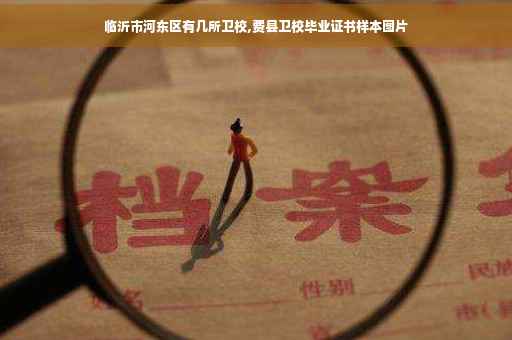 临沂市河东区有几所卫校,费县卫校毕业证书样本图片