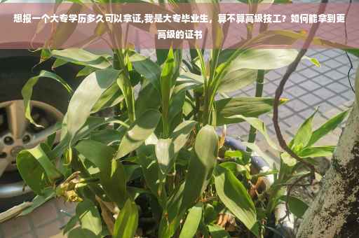 想报一个大专学历多久可以拿证,我是大专毕业生，算不算高级技工？如何能拿到更高级的证书