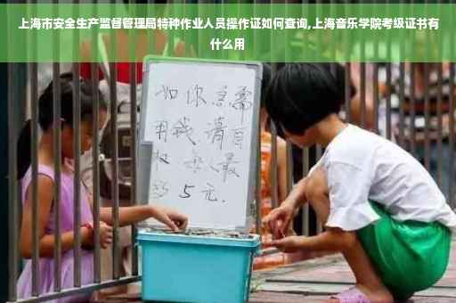 上海市安全生产监督管理局特种作业人员操作证如何查询,上海音乐学院考级证书有什么用