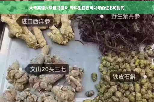 大专英语六级证书图片,专科生在校可以考的证书和时间