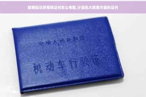 数据标注师等级证书怎么考取,计算机大数据方面的证书