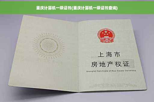 重庆计算机一级证书(重庆计算机一级证书查询)