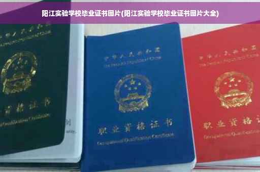阳江实验学校毕业证书图片(阳江实验学校毕业证书图片大全)