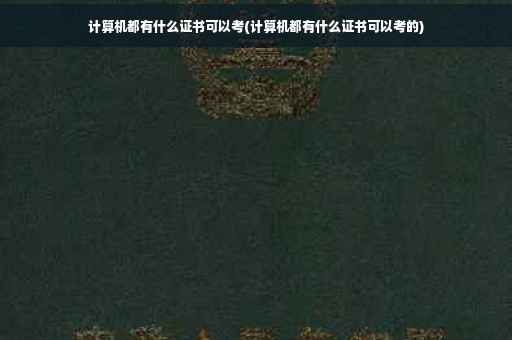 计算机都有什么证书可以考(计算机都有什么证书可以考的)