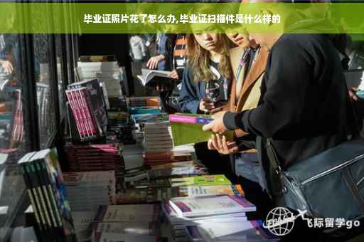 毕业证照片花了怎么办,毕业证扫描件是什么样的