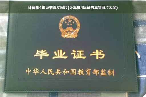 计算机4级证书真实图片(计算机4级证书真实图片大全)