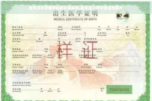 庞各庄交管服务站能补绿本吗,庞各庄小学毕业证书图片