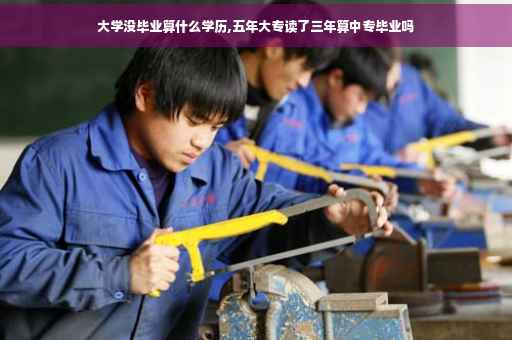大学没毕业算什么学历,五年大专读了三年算中专毕业吗