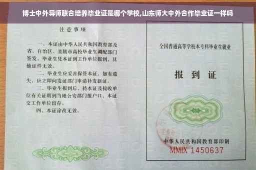 博士中外导师联合培养毕业证是哪个学校,山东师大中外合作毕业证一样吗