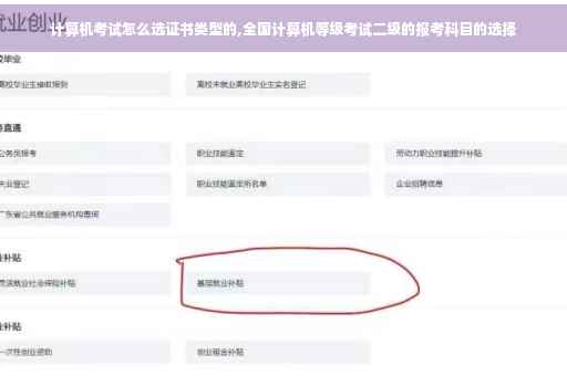 计算机考试怎么选证书类型的,全国计算机等级考试二级的报考科目的选择