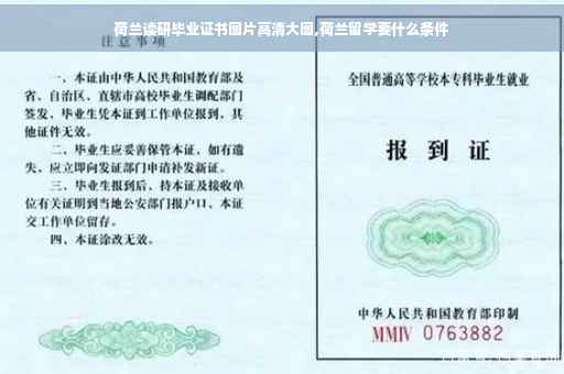 荷兰读研毕业证书图片高清大图,荷兰留学要什么条件
