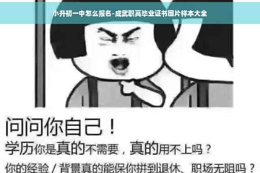 小升初一中怎么报名-成武职高毕业证书图片样本大全