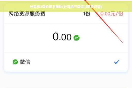 计算机3级的证书图片(计算机三级证书图片高清)