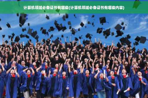 计算机领域必备证书有哪些(计算机领域必备证书有哪些内容)