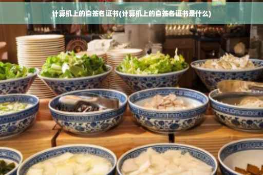 计算机上的自签名证书(计算机上的自签名证书是什么)