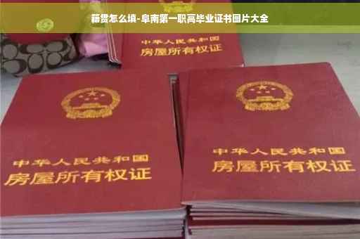 籍贯怎么填-阜南第一职高毕业证书图片大全