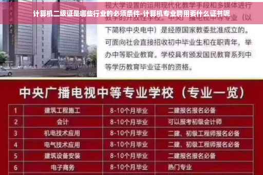 计算机二级证是哪些行业的必须条件-计算机专业聘用要什么证书呢