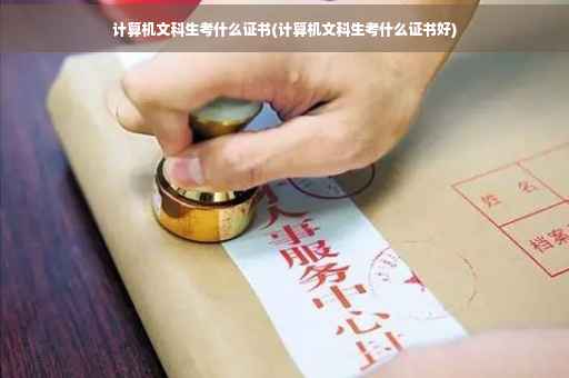 计算机文科生考什么证书(计算机文科生考什么证书好)