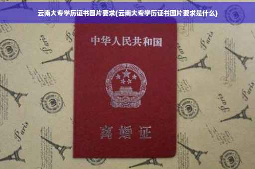 云南大专学历证书图片要求(云南大专学历证书图片要求是什么)