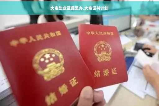 大专毕业证哪里办,大专证书计划