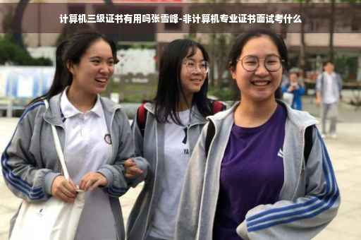计算机三级证书有用吗张雪峰-非计算机专业证书面试考什么