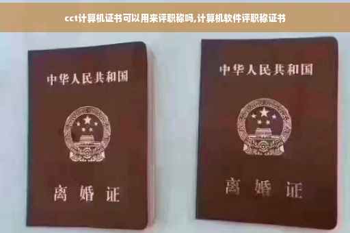 cct计算机证书可以用来评职称吗,计算机软件评职称证书