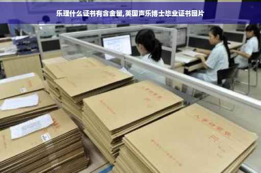 乐理什么证书有含金量,英国声乐博士毕业证书图片