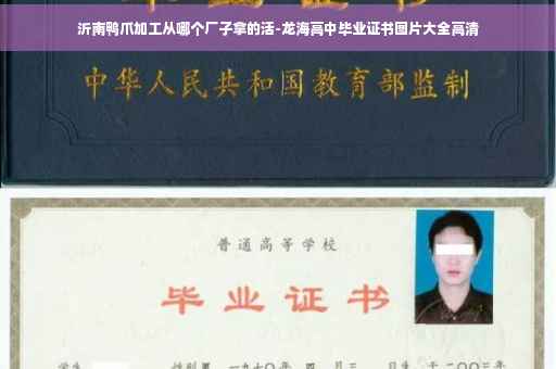 沂南鸭爪加工从哪个厂子拿的活-龙海高中毕业证书图片大全高清