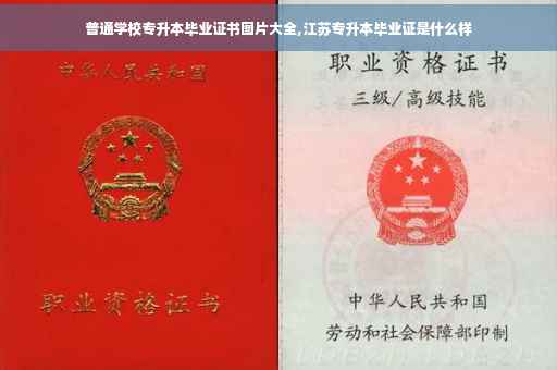 普通学校专升本毕业证书图片大全,江苏专升本毕业证是什么样