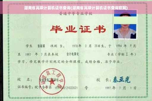 湖南省高级计算机证书查询(湖南省高级计算机证书查询官网)