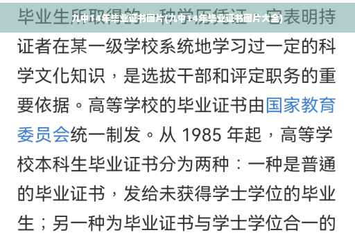 九中14年毕业证书图片(九中14年毕业证书图片大全)