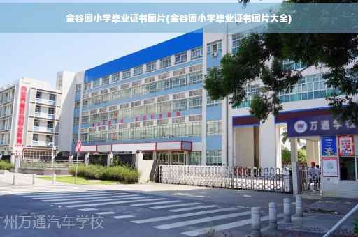 金谷园小学毕业证书图片(金谷园小学毕业证书图片大全)