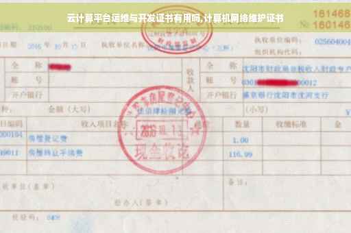 云计算平台运维与开发证书有用吗,计算机网络维护证书