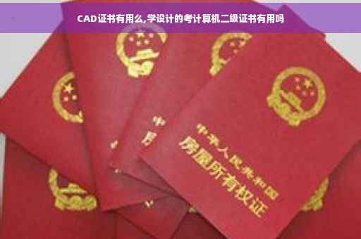 CAD证书有用么,学设计的考计算机二级证书有用吗