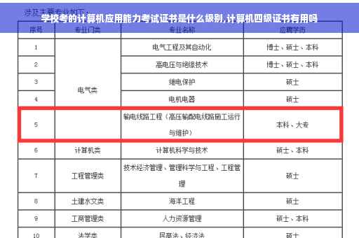 学校考的计算机应用能力考试证书是什么级别,计算机四级证书有用吗