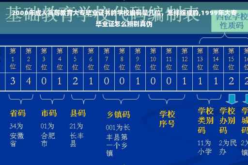 2000年成人高等教育大专毕业证书的学校编码是几位，怎样组成的,1999年大专毕业证怎么辨别真伪
