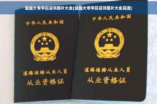 盐城大专学历证书图片大全(盐城大专学历证书图片大全高清)